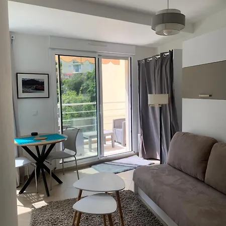 Studio Chambre Hote * Μεντόν