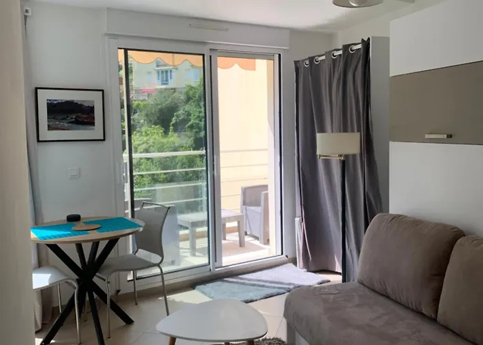 Studio Chambre Hote * 芒通