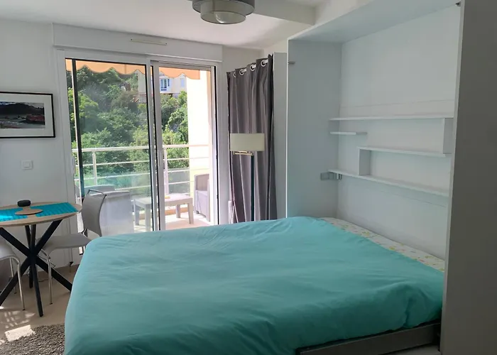 Studio Chambre Hote 芒通